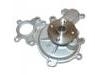 Water Pump:AW6197