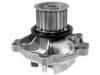 水泵 Water Pump:5066809AA